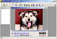 MPEG-VCR screenshot